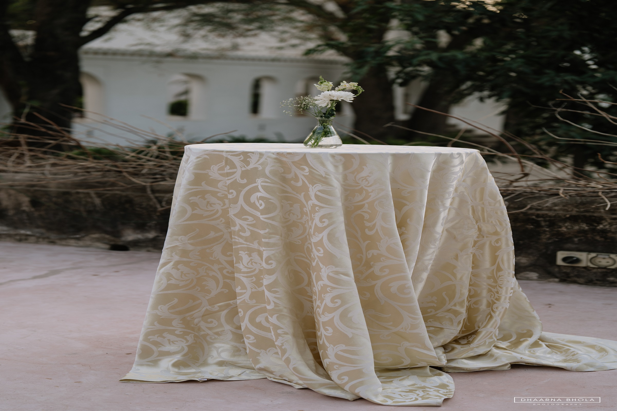 Image from Wedding - Samode Bagh